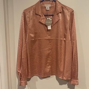 ✨Beautiful blouse✨